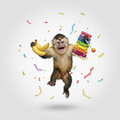 DONDON monkey
